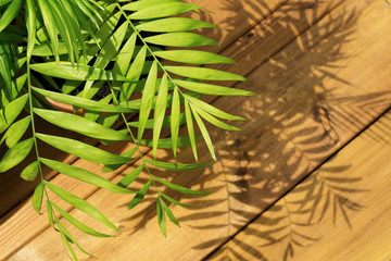 tropical greenery minimal artistic design