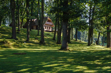 Park landscape with green grass between large trees, below is a building between trees; A sunny day in the park and the sun shines through the trees