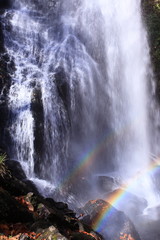 Fototapeta na wymiar 滝に架かる二つの虹