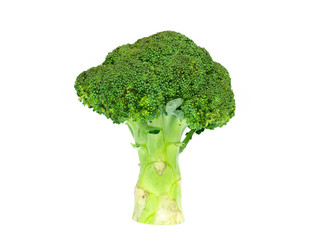 Broccoli isolated on white background