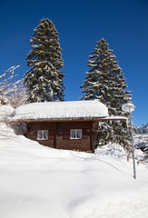 Winter in alps