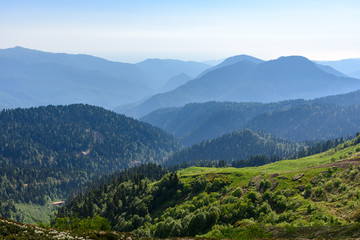 Fototapeta na wymiar Forest in a mountain valley. Green slopes of mountains. Mountain meadow fields. Mountain ranges