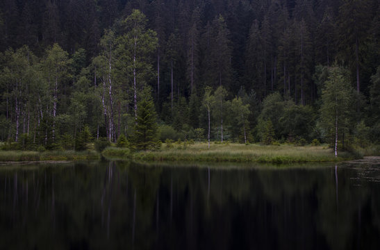Blick auf den verschlafenen Ellbachsee, Knibis, Schwarzwald