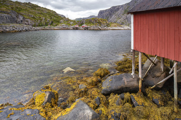 Typical norwegian red houses Rorbu in Lofoten village