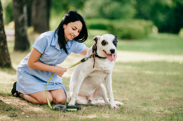 Young beautiful brunette cheerful girl in blue dress have fun and playing with her male white dog outdoor at nature. Nice looking woman loves kind pet. Happy best friends hugs. Domestiic animal smile.