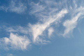 The cirrus clouds