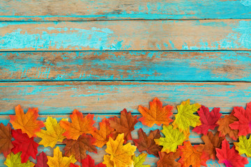 Beautiful autumn maple leaves background. nature fall season