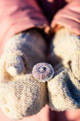 Girl holding frozen sea shells