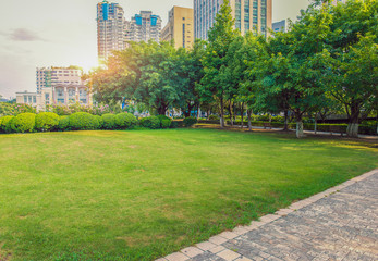 City park, green meadows and lush forests at summer sunset