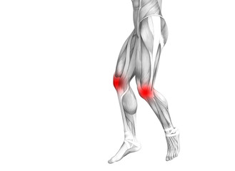 Conceptual knee human anatomy with red hot spot inflammation or articular joint pain for leg health care therapy or sport muscle concepts. 3D illustration man arthritis or bone osteoporosis disease