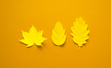 Autumn leaves made from paper orange background