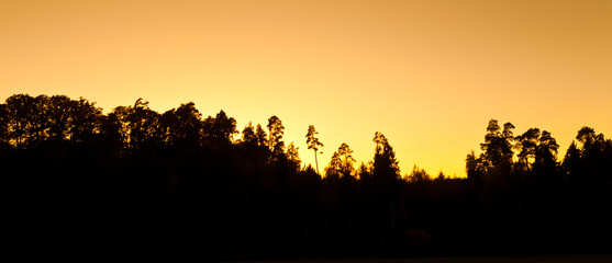 Obraz na płótnie Canvas Tiefstehende Sonne hinter dunklem Wald 