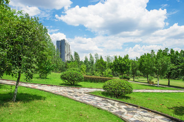 Fototapeta na wymiar City park, green meadows and lush trees on a sunny summer day