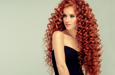 Beautiful model girl with long red curly hair .Red head . Care and beauty hair products 

