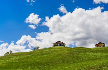 Obraz premium Alpine landscape with traditional cabins