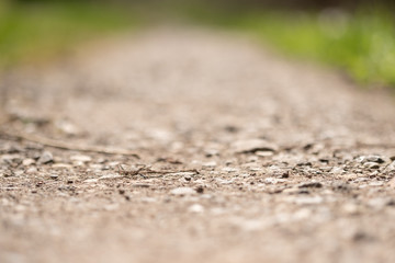 Offene Blende Makro Feldweg mit Steinen