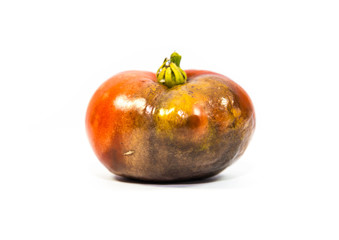 Rotten half tomato  close up shot, isolated  on white background.