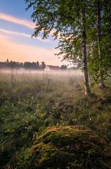 Obraz na płótnie Canvas Idyllic farmland view with mist and sunset at summer evening in Mäntyharju, Finland