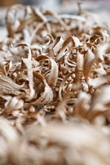 Beautiful carpentry background. Sawdust in focus and with a blurry image. Abstract composition for design. Stock photo.