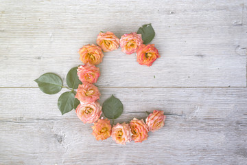 C, roses flower alphabet isolated on gray wooden background, flat lay