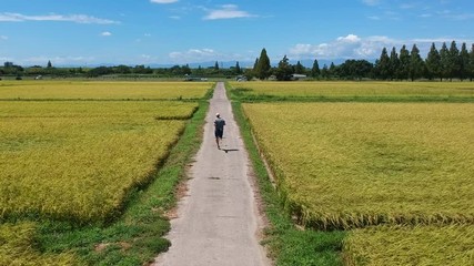 Man running on country lane through rice fields