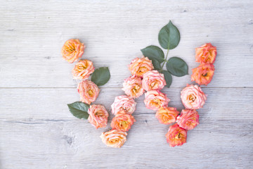 W, roses flower alphabet isolated on gray wooden background, flat lay