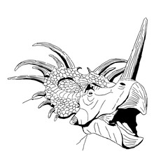 isolated hand drawn styracosaurus dinosaur, vector illustration on white background