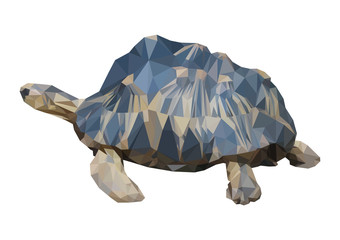 Fototapeta premium triangle polygonal turtle, geometric polygon reptile, isolated vector animal