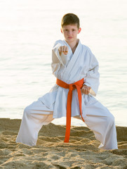 boy exercising  kung fu