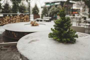Winter cold tree snow