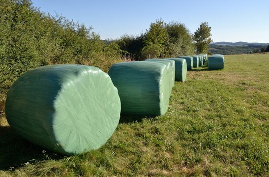 Ballots de paille sous plastique