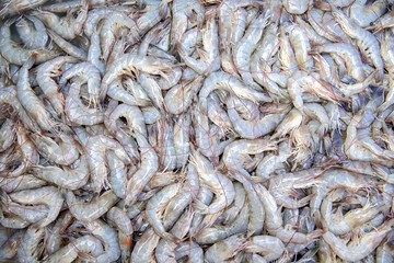 The shrimp used to Cook several delicious and there are benefits to the body  