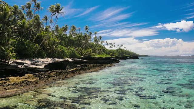 Tropical vibrant beach on Samoa Island with palm trees