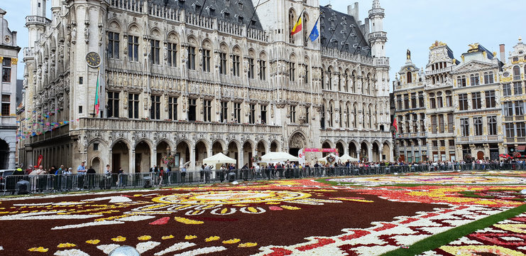 Brüssel - Grand Place - Herz und Bühne der Stadt (Blumenteppich 2018) 