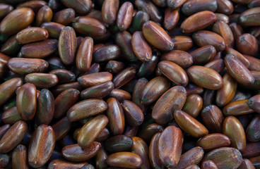 The seeds to eat meat as a local in Songkhla Province, Thailand