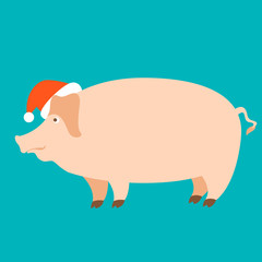 Pig in a cap of Santa Claus  vector illustration flat 