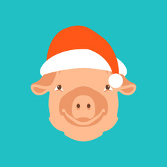 Pig in a cap of Santa Claus  vector illustration flat 