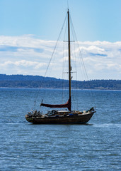 Boat, Pacific, Custer USA, Sailboat, Water, Ship, Mast, Landscape