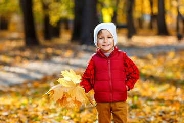 Cute, happy, white boy in red shirt smiling and playing with bouquet of yellow leaves. Little child having fun in autumn park. Concept of happy childhood, leaves fall
