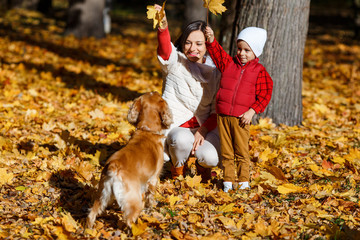 Cute, happy, white boy in red shirt smiling and playing with dog among yellow leaves. Little child having fun with his mom in autumn park. Concept of friendship between kids and pets, happy family
