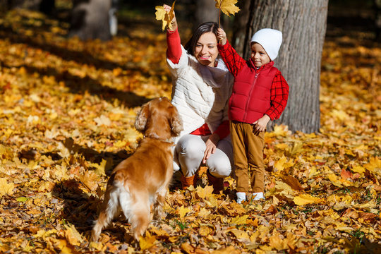 Cute, Happy, White Boy In Red Shirt Smiling And Playing With Dog Among Yellow Leaves. Little Child Having Fun With His Mom In Autumn Park. Concept Of Friendship Between Kids And Pets, Happy Family