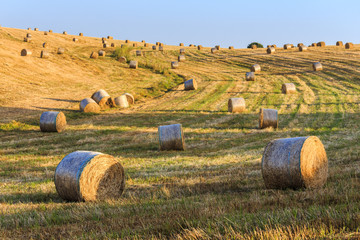 Bales of straw lying on the slopes of the hills at sunset. Summer. Italy.
