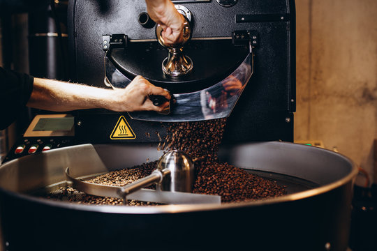 Fototapeta Freshly roasted coffee beans pouring from a large coffee roaster into the cooling cylinder.