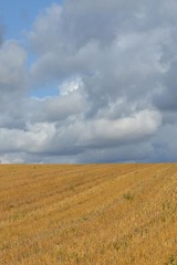 Fototapeta premium Stoppelfeld berührt Wolkenhimmel