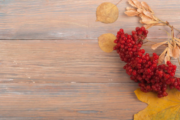 Colorful autumn leaves, berries on wooden background, Copy space for text. Top view.