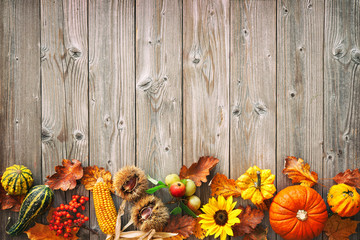 Harvest or Thanksgiving background with autumnal leaves, fruits and gourds