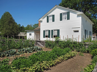 Fototapeta na wymiar vegetable garden in backyard of a house