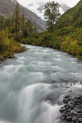 Scenic Wilderness Stream in Alaska