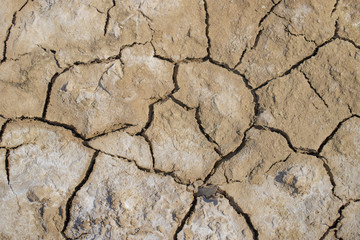 Surface of the dried earth covered with salt.
