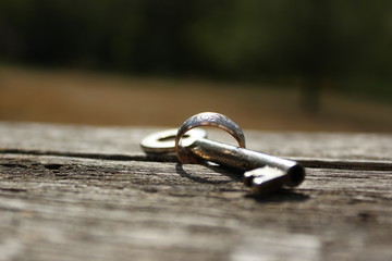 key and ring on nature